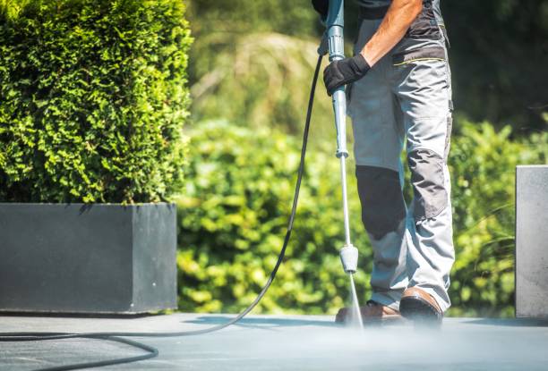 Pre-Holiday Cleaning in Conestee, SC